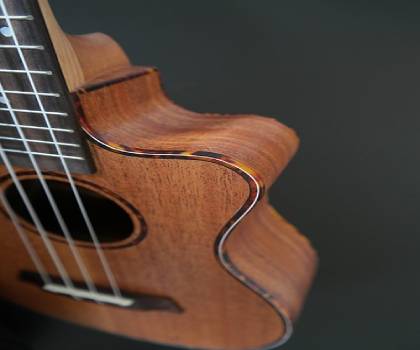 Gía đàn ukulele FM 500 khuyết