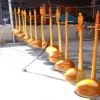 Đàn tính bầu khô tốt
